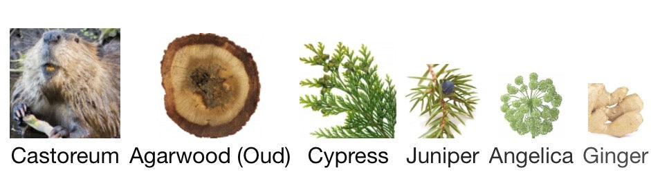 Wood Oud Intenso inspired by Tom Ford Oud Wood intense